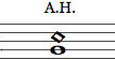 Guitar flageolettone