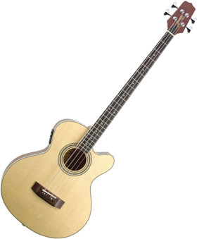 Akustisk basguitar (Jasmine by Takamine ES50C)