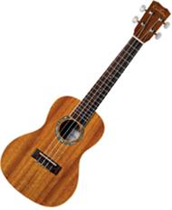 Ukulele (Cordoba 15CM)